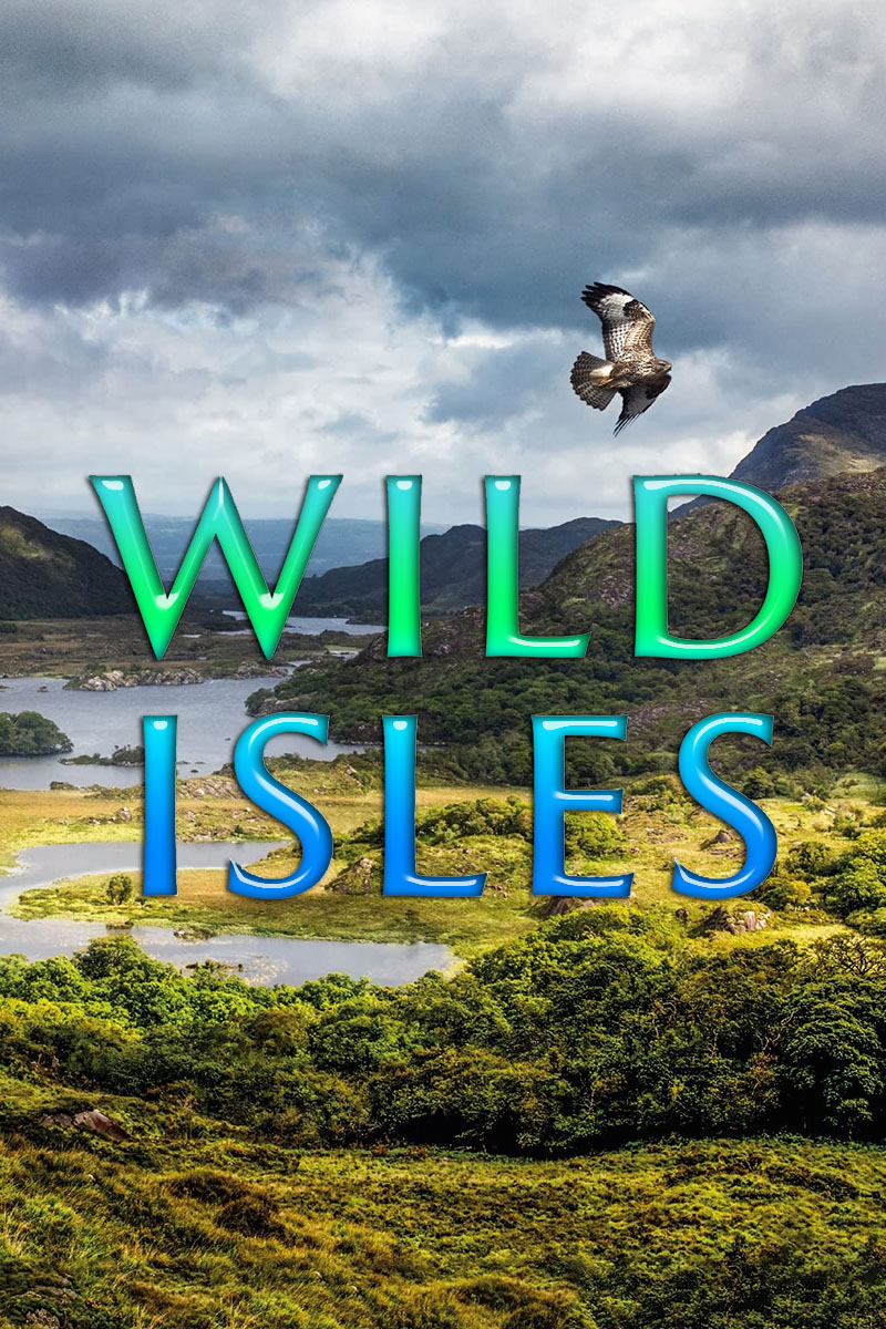 1684158180586027.jpg 野性英伦a.jpg