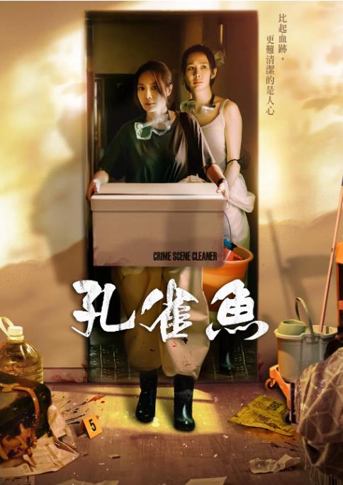 1731257616367339.jpg 孔雀鱼.jpg