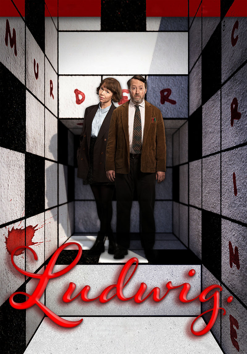 1733660887240739.jpg 谜探路德维希a.jpg