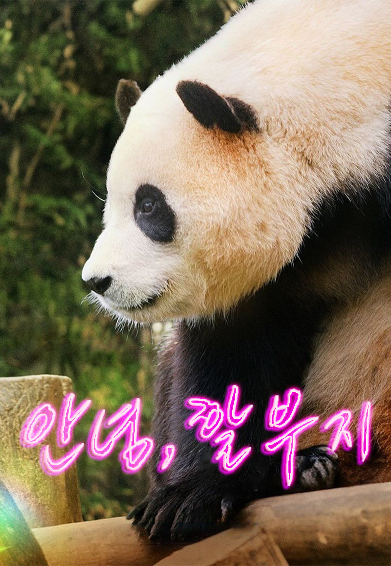 1734316102165228.jpg 再见,福宝1ba.jpg