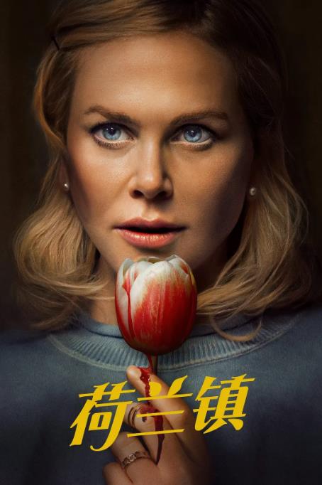 20250330213525499-1743341725-荷兰镇