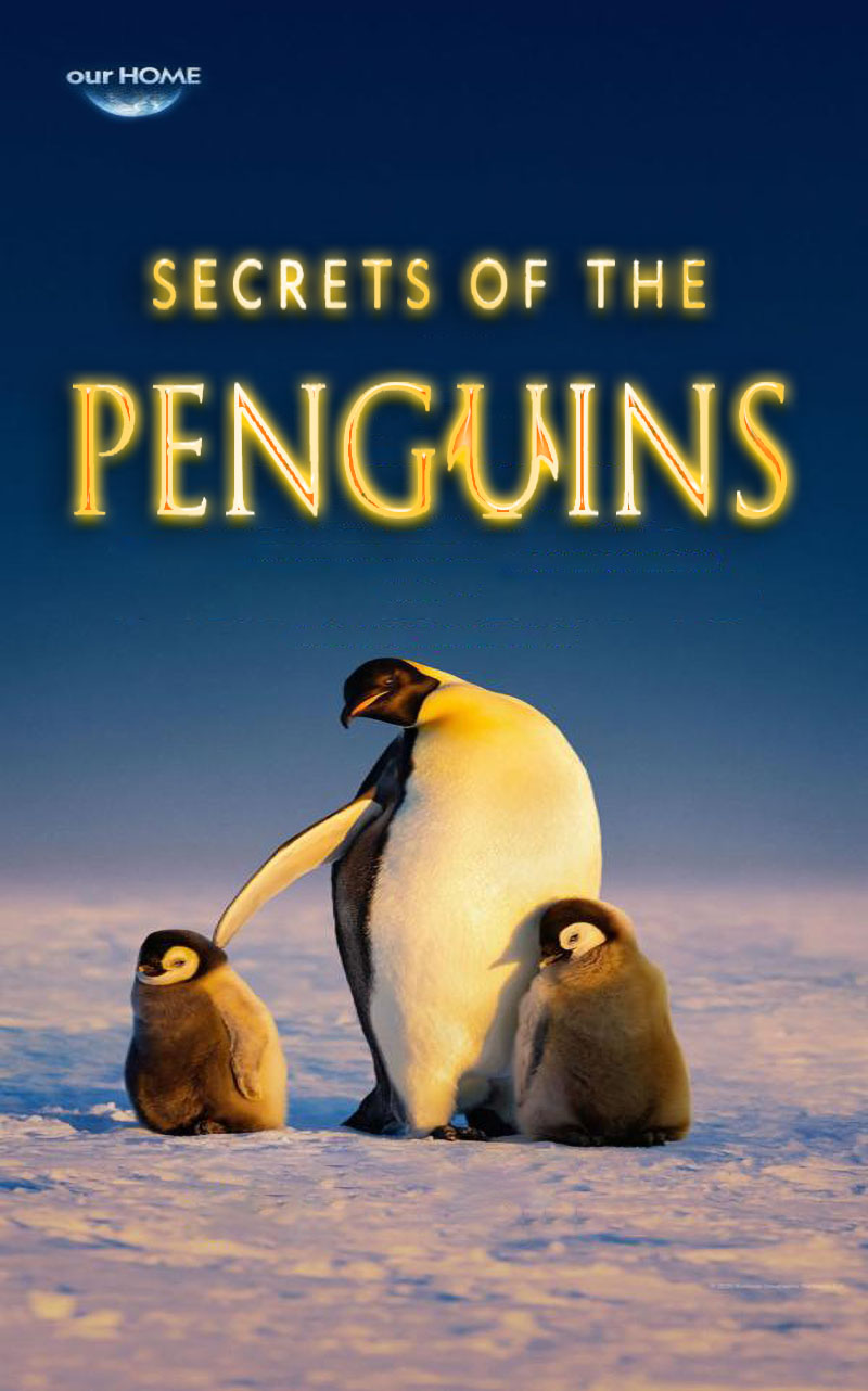 1746235501320112.jpg 企鹅之谜1aa.jpg