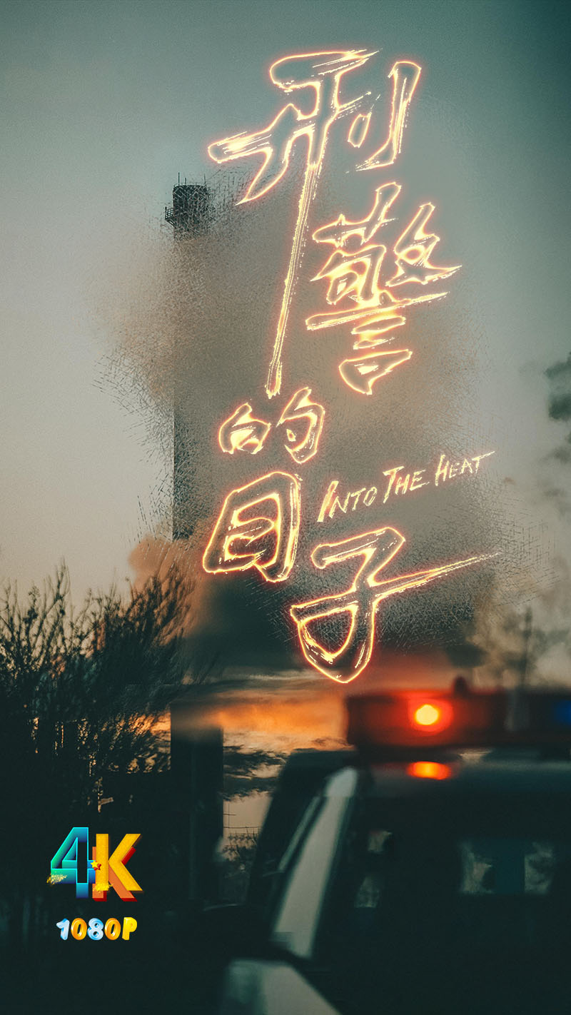 1746451418876325.jpg 刑警的日子1aa.jpg